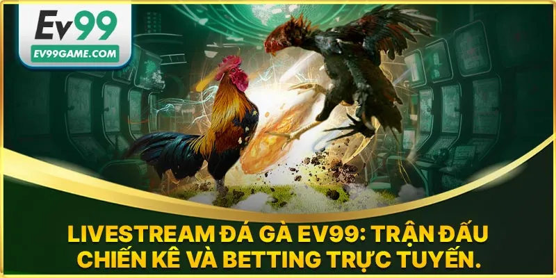 Live stream đá gà EV99