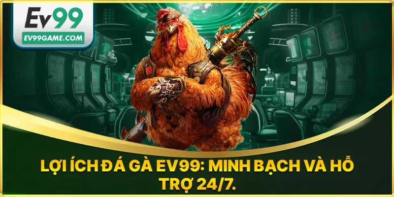 Đá gà EV99 minh bạch